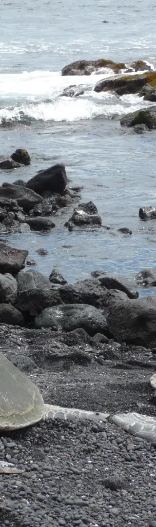 Hawaii Island